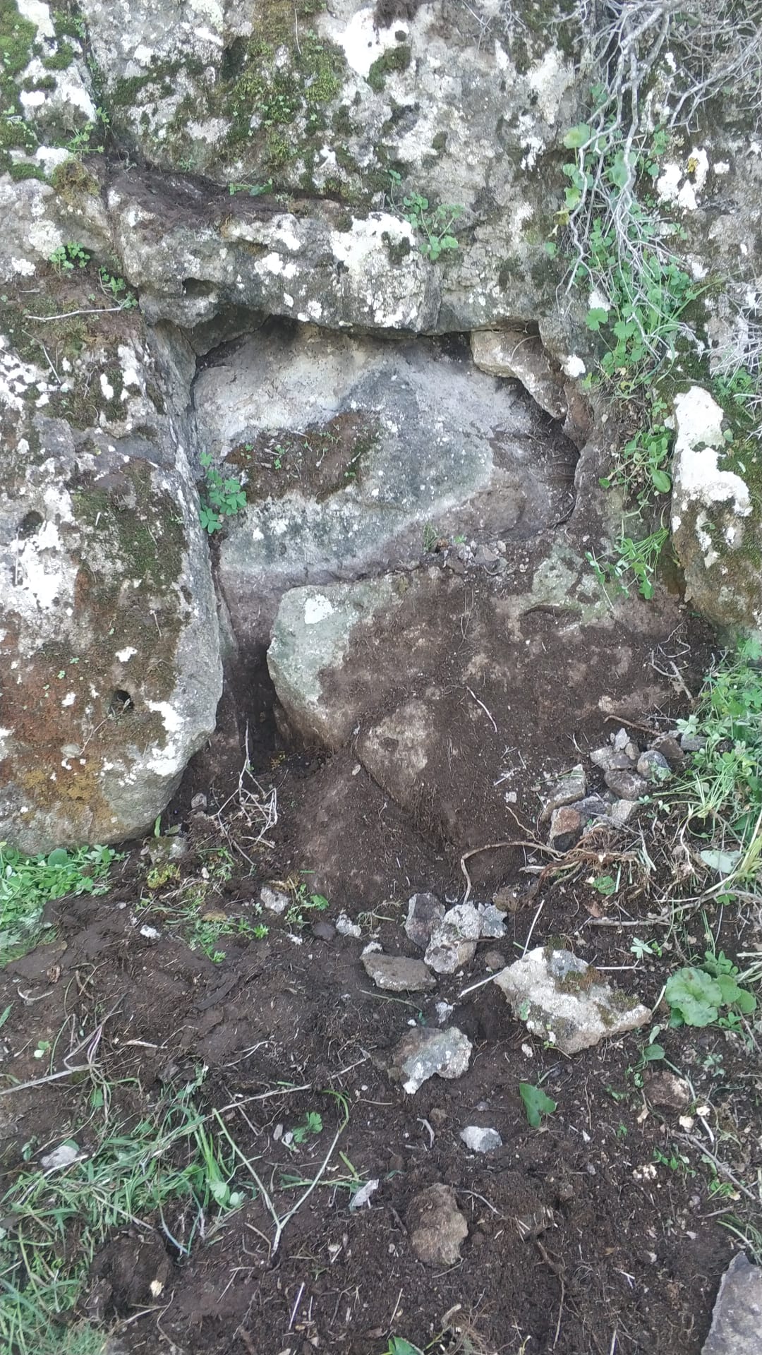 WhatsApp Görsel 2023-02-02 saat 13.24.30.jpg