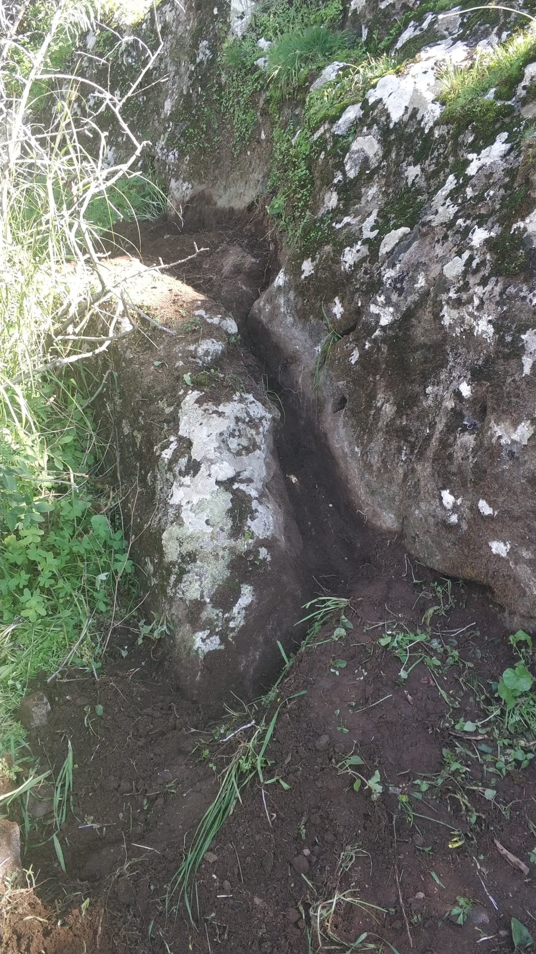 WhatsApp Görsel 2023-02-02 saat 13.24.38.jpg