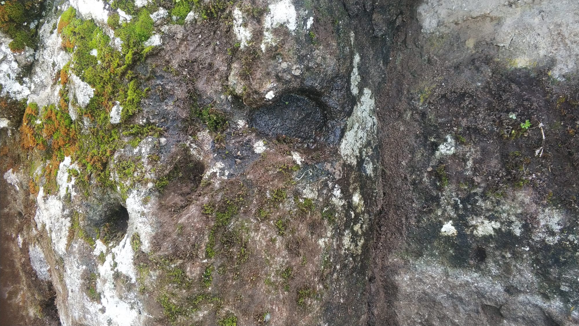 WhatsApp Görsel 2023-02-06 saat 13.53.32.jpg