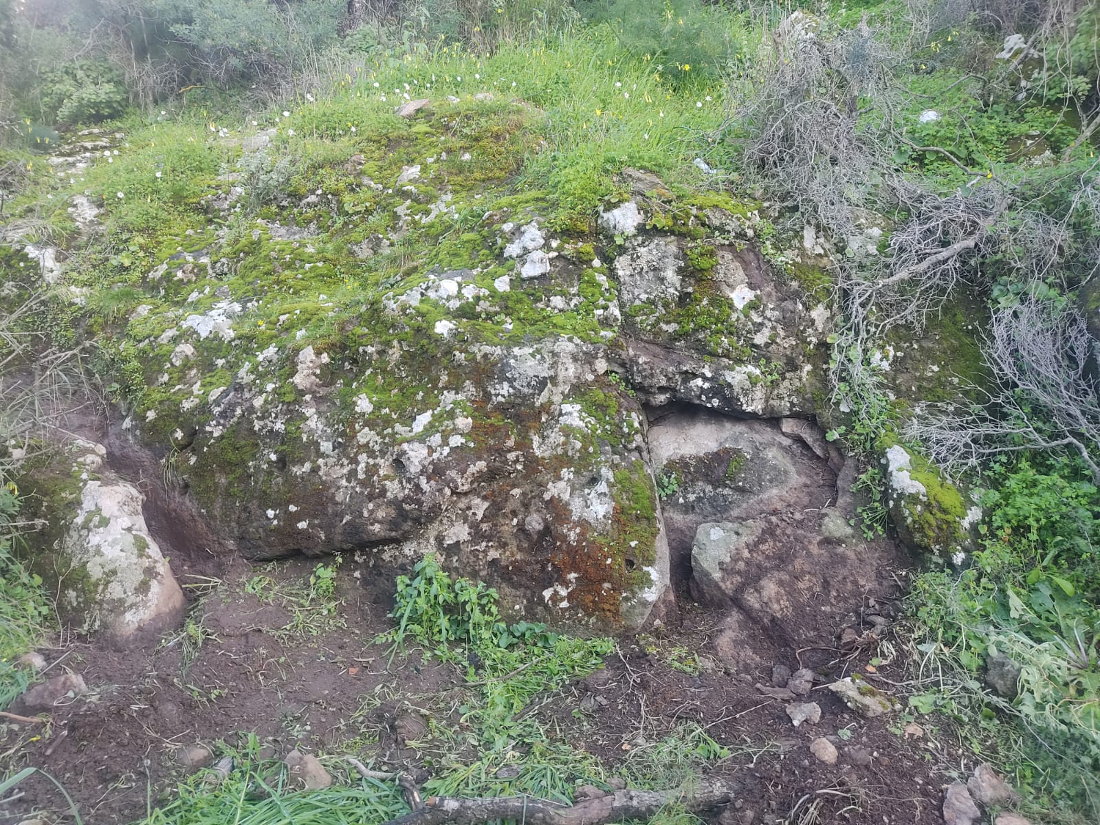 WhatsApp Görsel 2023-02-06 saat 14.40.00.jpg