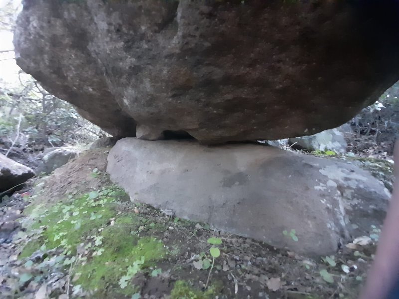 WhatsApp Image 2022-03-15 at 20.10.10.jpeg