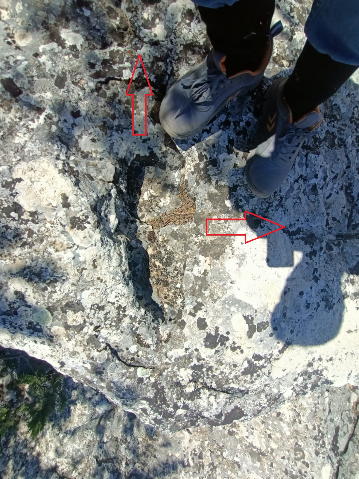 WhatsApp Image 2022-07-06 at 19.46.24 (1).jpeg