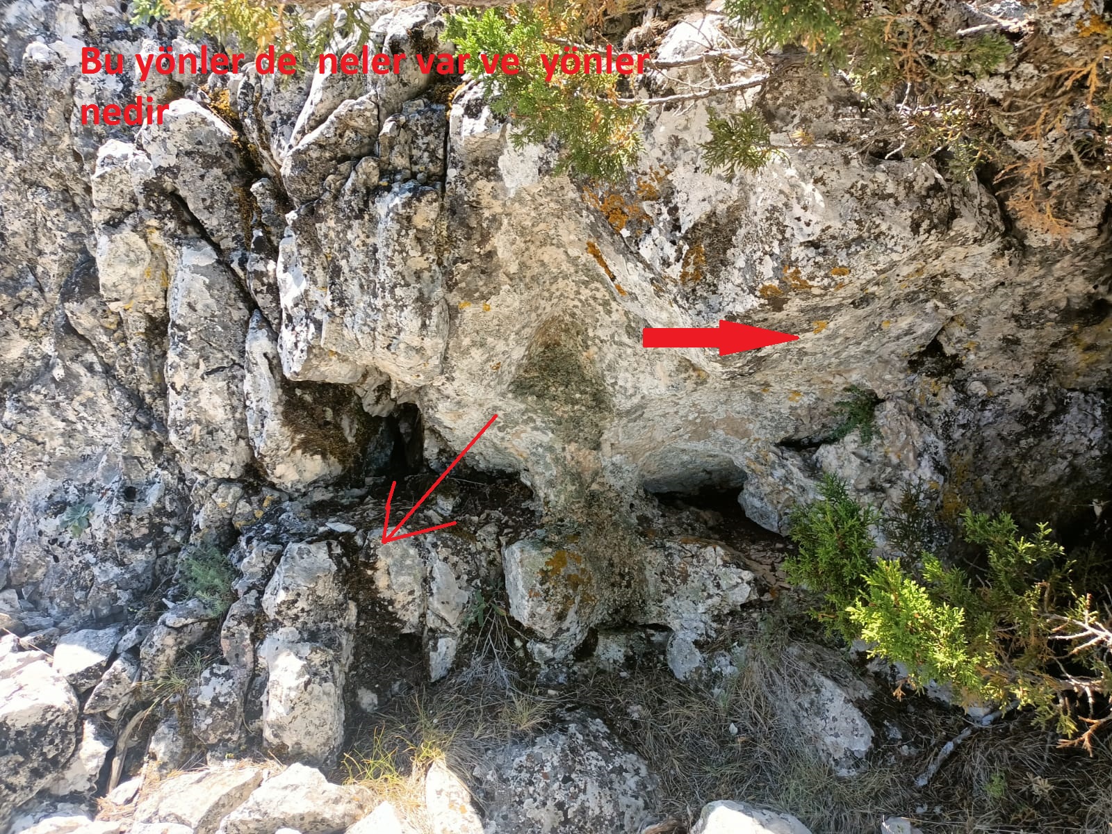 WhatsApp Image 2022-07-06 at 19.46.32.jpeg