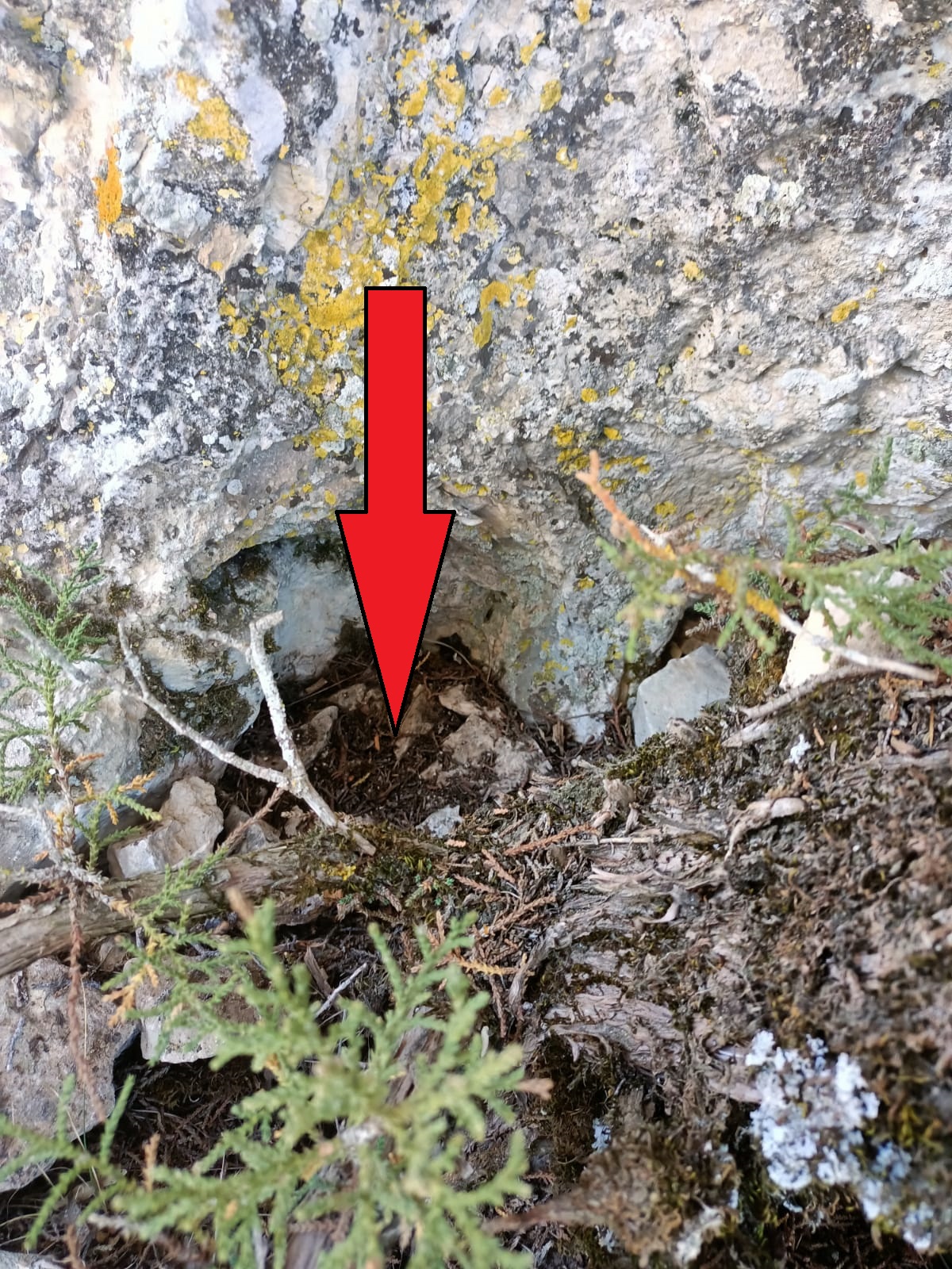 WhatsApp Image 2022-07-06 at 19.46.33.jpeg