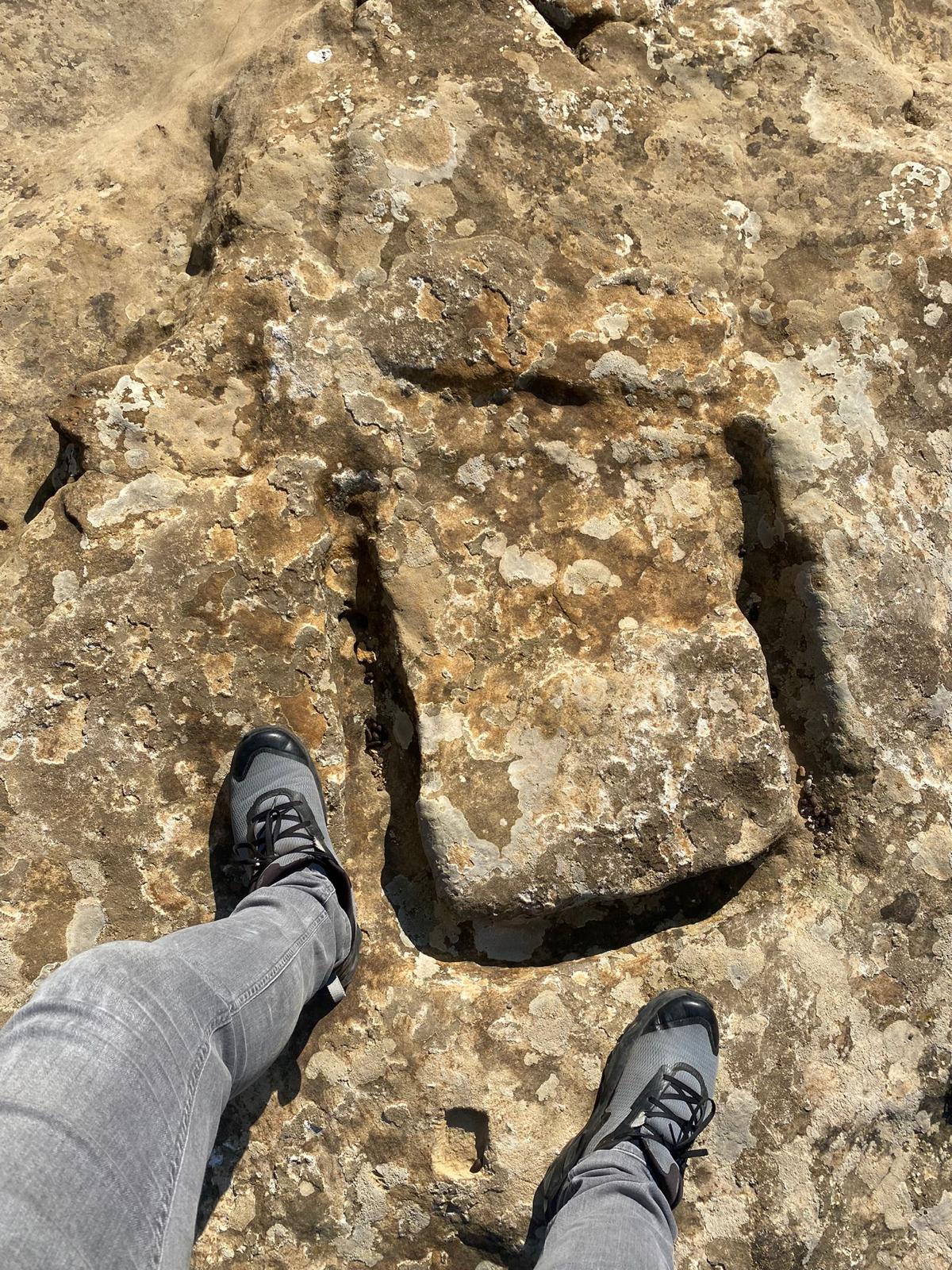 WhatsApp Image 2024-04-17 at 00.31.58 (1).jpeg