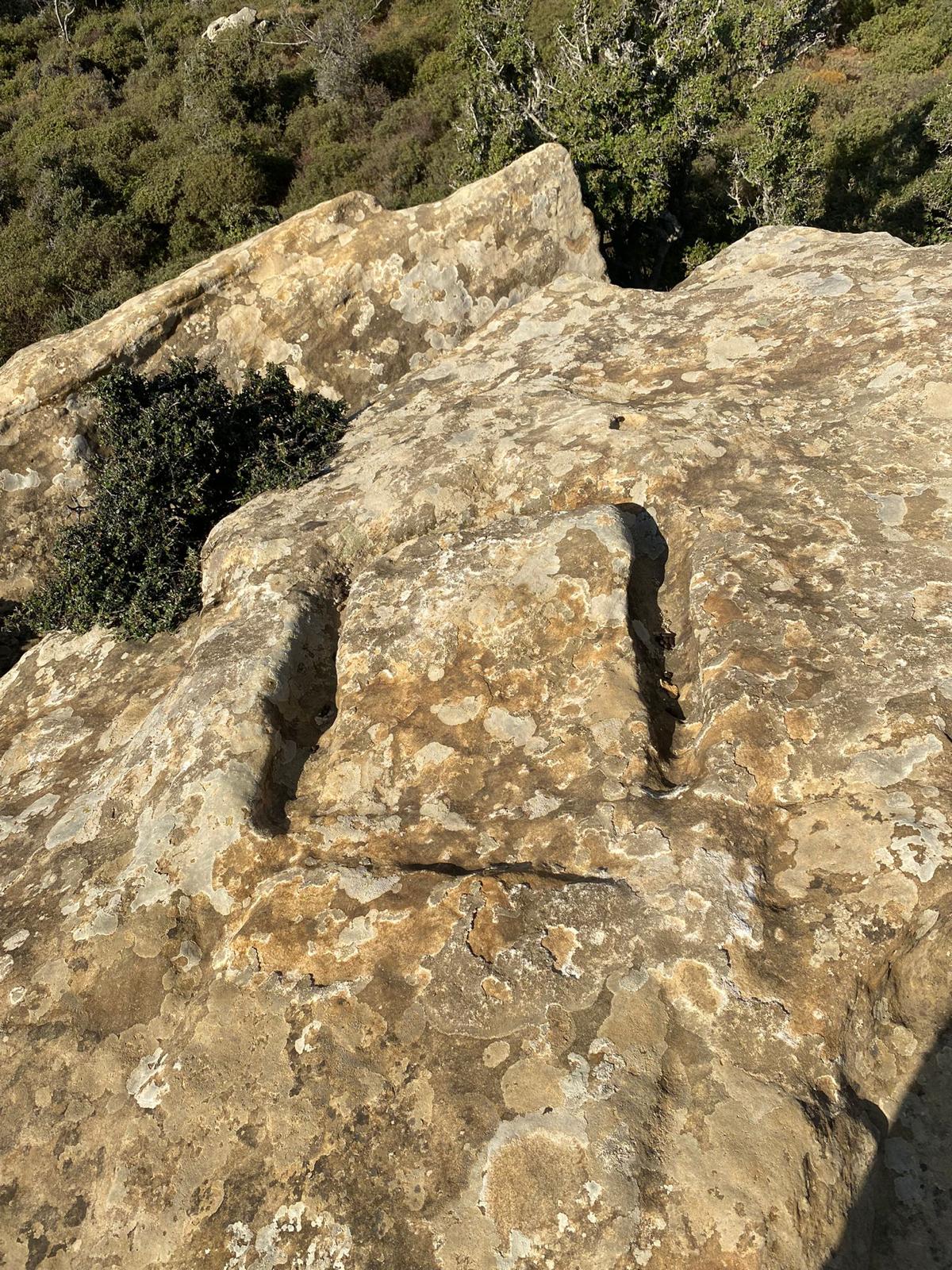 WhatsApp Image 2024-04-17 at 00.31.58.jpeg