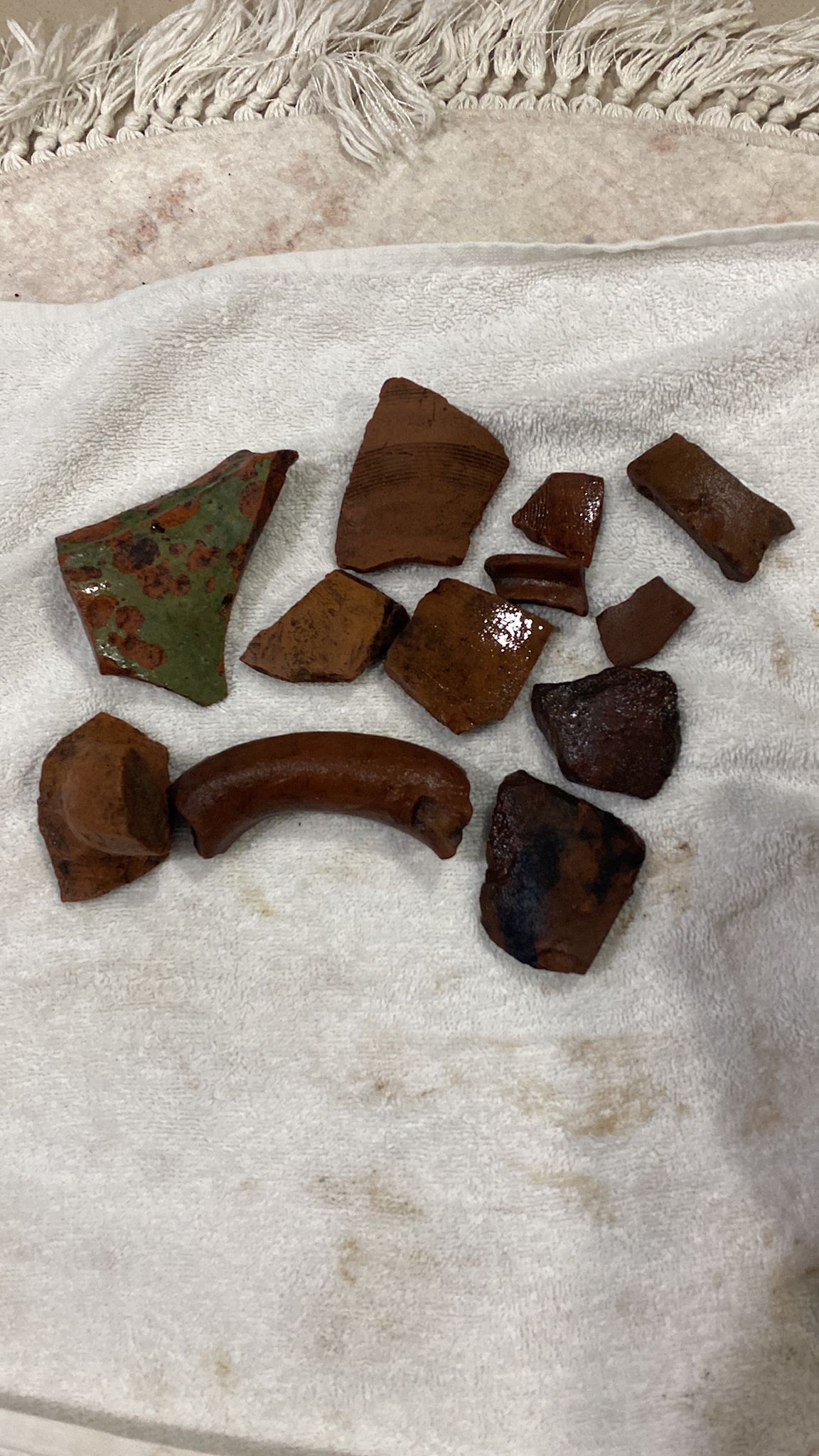 WhatsApp Image 2025-10-27 at 10.20.59.jpeg