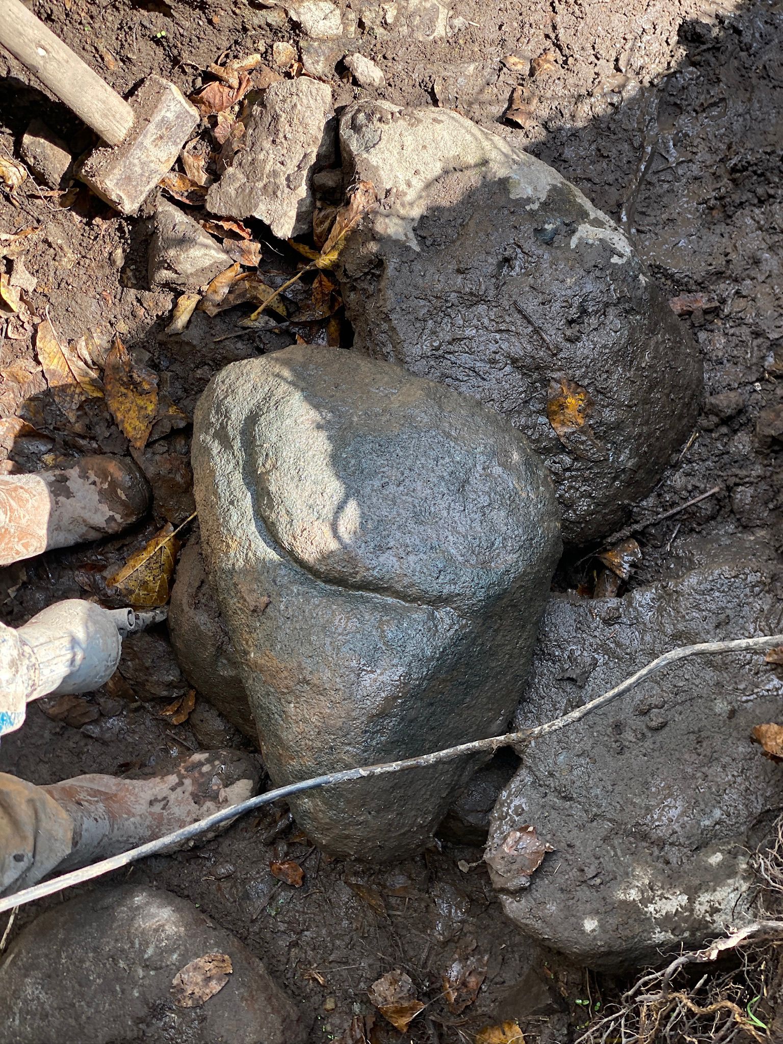 WhatsApp Image 2025-10-27 at 10.21.23.jpeg