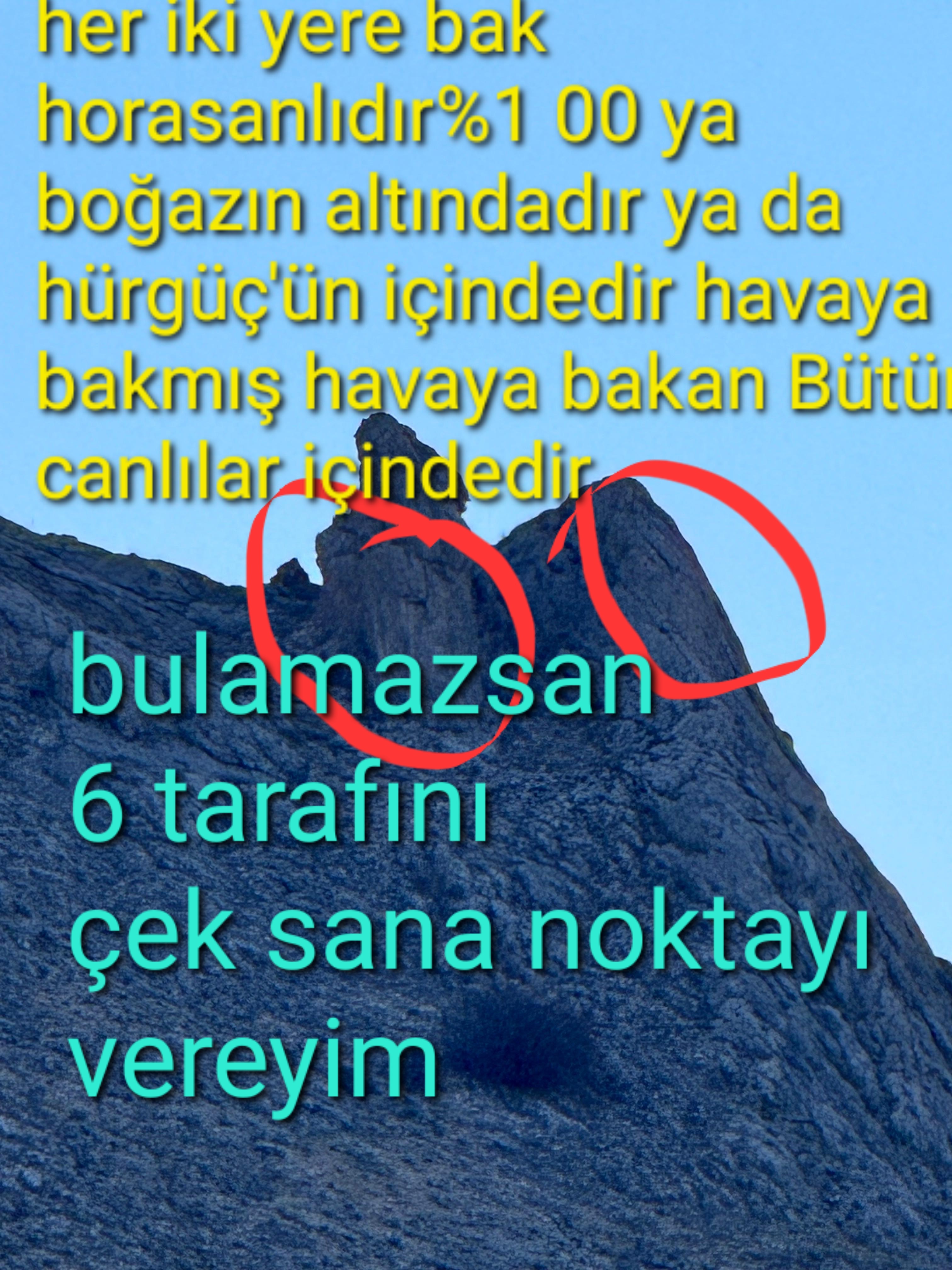 WhatsApp Image 2025-11-23 at 22.11.10 (5).jpeg