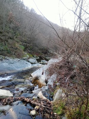 IMG20250110170229.jpg