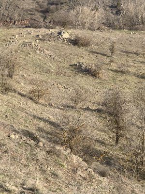 IMG_4700.jpeg