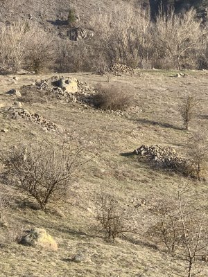 IMG_4699.jpeg