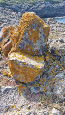 d44b3400-1a23-4c2d-bebb-0a42485015cd.jpeg