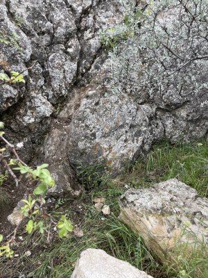 IMG_0242.jpeg