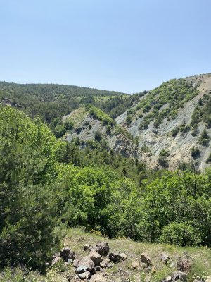 IMG_0366.jpeg