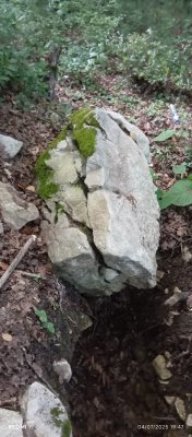 IMG-20250707-WA0009.jpg