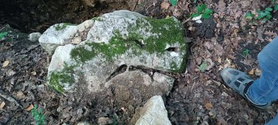 IMG-20250707-WA0007.jpg