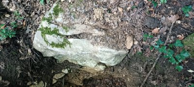 IMG-20250707-WA0006.jpg