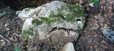 IMG-20250707-WA0005.jpg