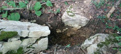IMG-20250707-WA0004.jpg