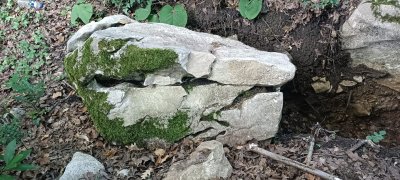 IMG-20250707-WA0000.jpg