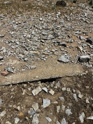 IMG_3597.jpeg