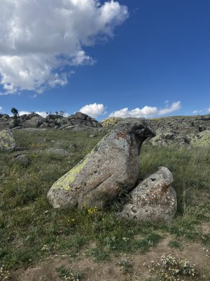 IMG_9773.jpeg