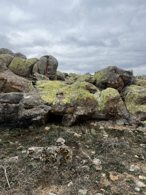 IMG_6259.jpeg