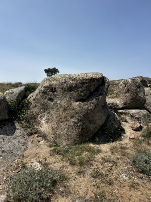 IMG_3596.jpeg