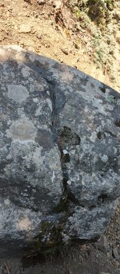 IMG_20250807_112736_938.jpg