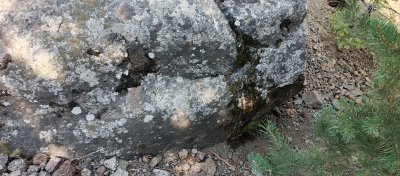 IMG_20250807_112741_731.jpg