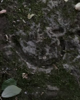 IMG_6847.jpeg