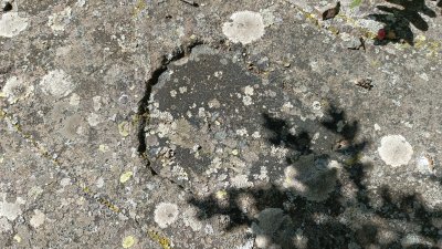 IMG_20250818_131655_157.jpg