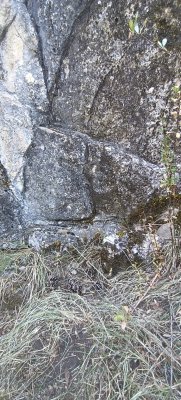 IMG_20250913_141638.jpg