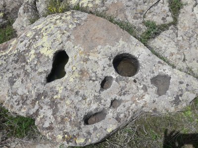 20170512_104658.jpg