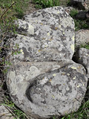 20170517_151643.jpg