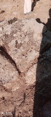 IMG_20250923_171028_169.jpg