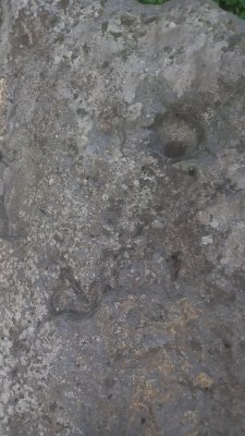 20250914_174338.jpg 20250914_174338.jpg