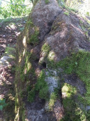 20250922_135457.jpg 20250922_135457.jpg