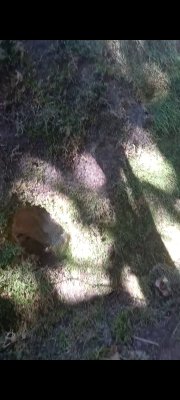 Screenshot_20250925-040245_Video Player.jpg