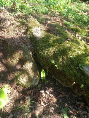 20250922_135745_1.jpg