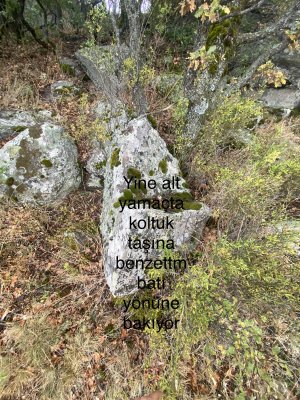 228B3C3C-D70E-46FD-9807-C3BE9E3E6846.jpeg
