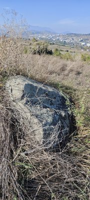 IMG_20251007_131547.jpg
