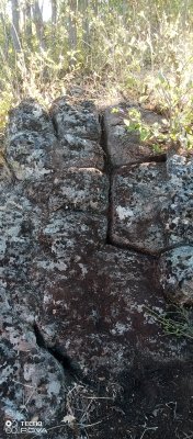 IMG_20251017_091148_780.jpg