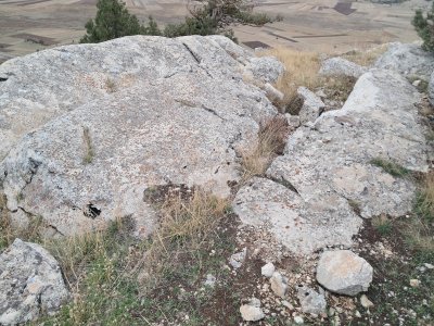 20251020_171927.jpg
