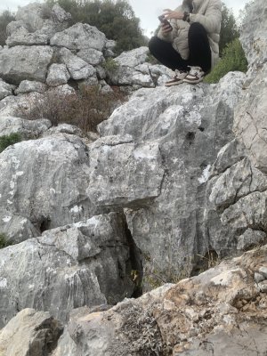 IMG_3646.jpeg