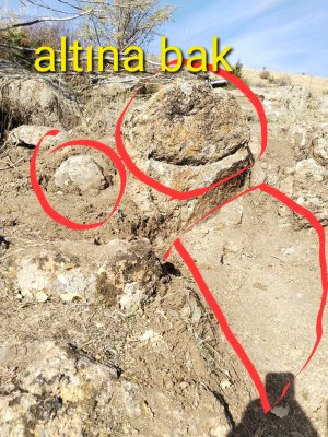 IMG_20251110_115934.jpg IMG_20251110_115934.jpg