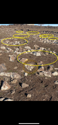 IMG_2494.png IMG_2494.png