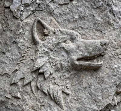 Agzi acik kurt 2.jpg