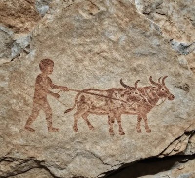 Iki okuz suren cocuk.jpg